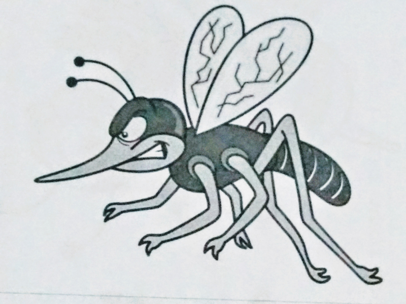 bugs mosquito puzzle
