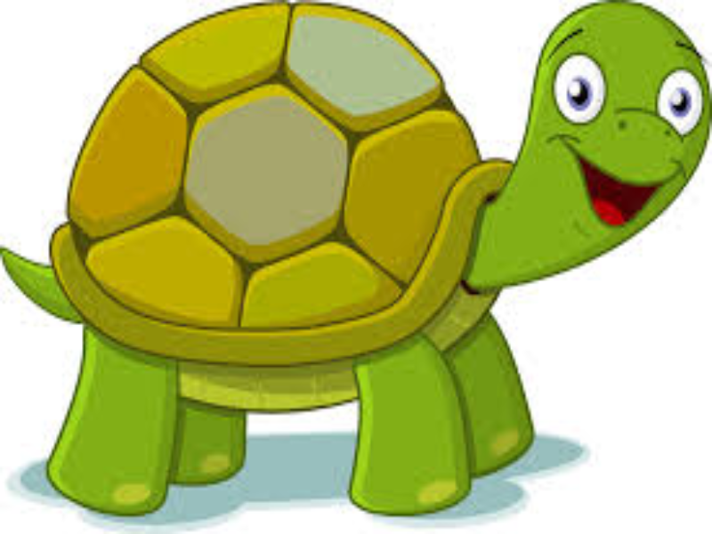 Turtlesssssssssss puzzle