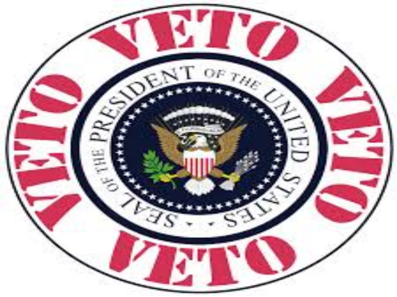 VETO puzzle