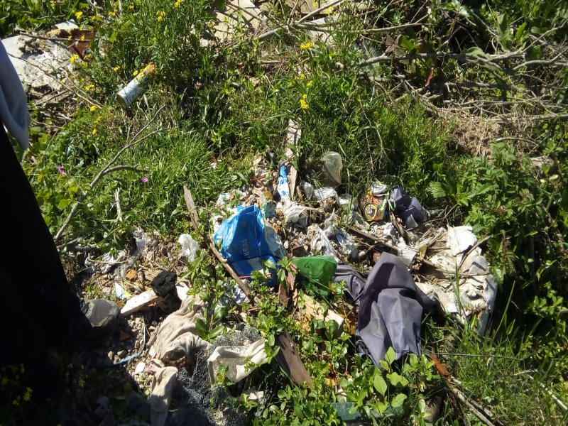 Ajude a preservar o Pontal da Barra. Não jogue lixo! puzzle