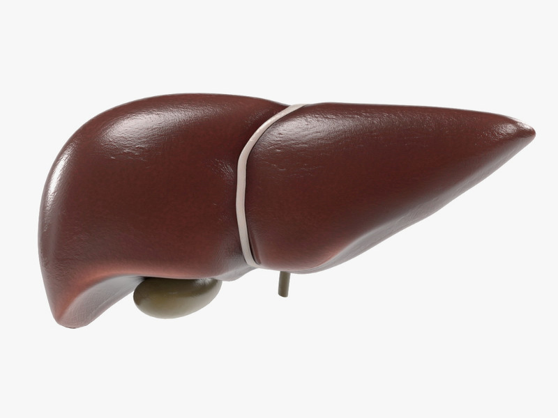 liver puzzle