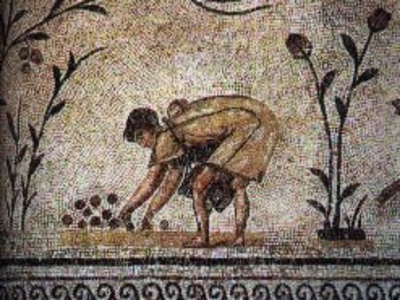 PLEBEU AGRICULTOR puzzle