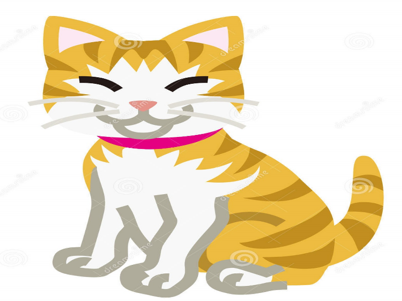 Gato Pré II puzzle