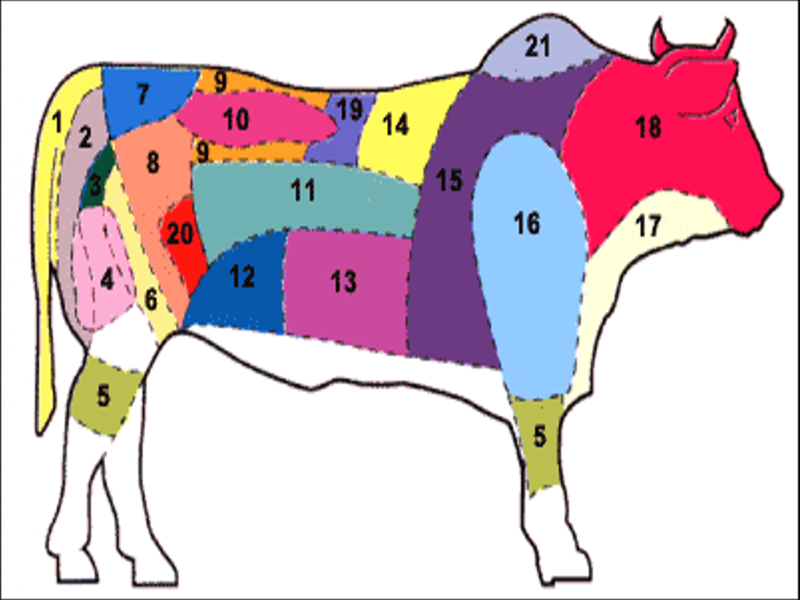 Principais cortes bovinos puzzle