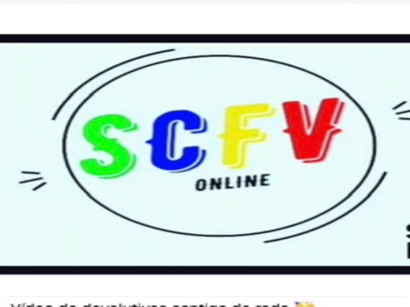 Scfv  puzzle