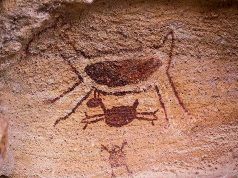 que cabeça pintura parque nacional da Serra da Capivara puzzle