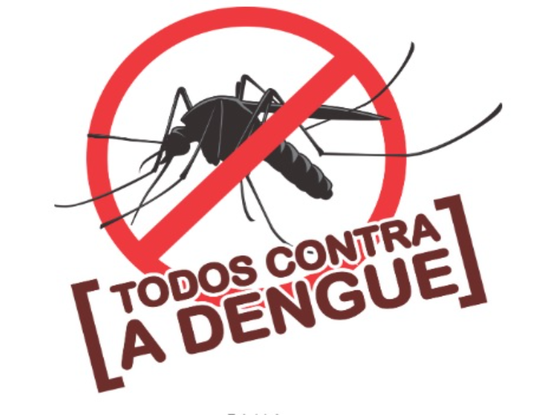 TODOS CONTRA A DENGUE puzzle