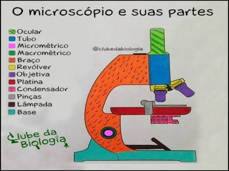 Quebra-cabeça microscópio puzzle