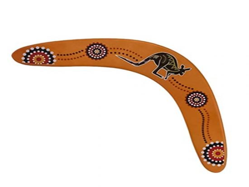 Boomerang puzzle